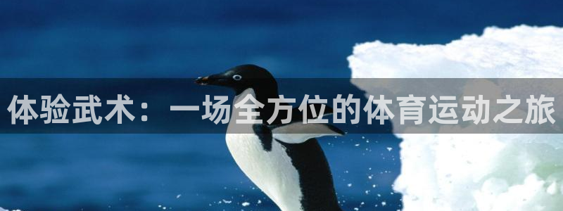 bbin视讯游戏平台